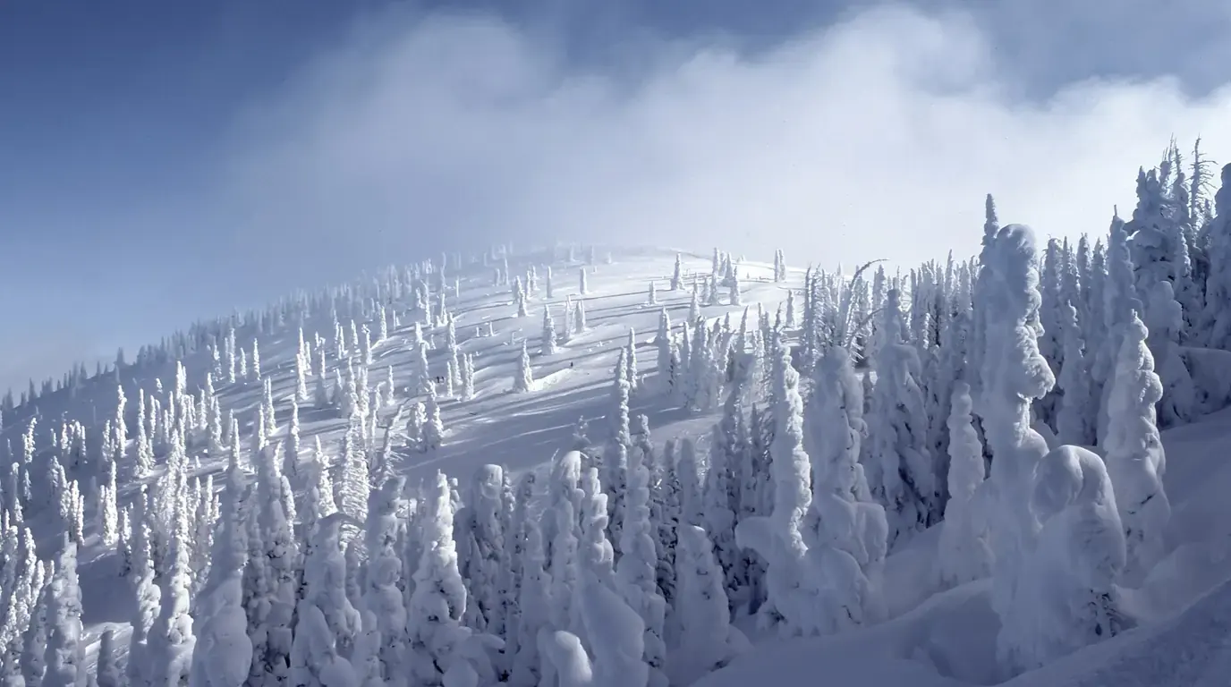 A snow-covered forest of frozen fir trees on a mountain slope under a cloudy sky